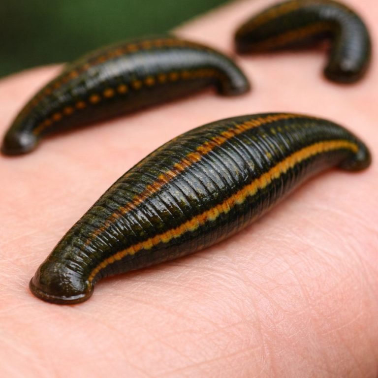 WhatsApp Image 2026-02-11 at 12.01.19 (3)